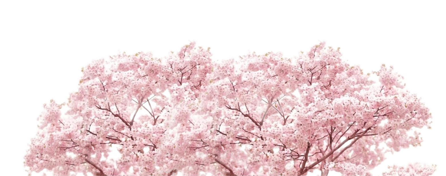 Ornamen