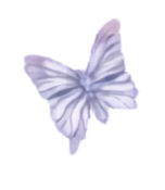 Ornamen