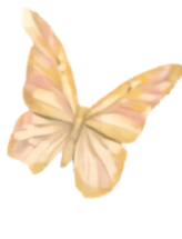 Ornamen
