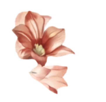 Ornamen