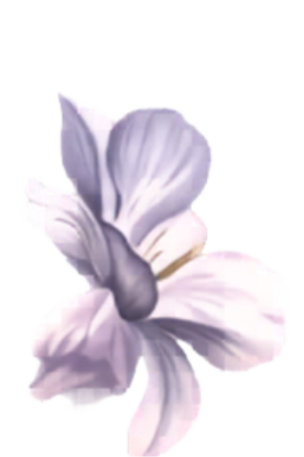 Ornamen