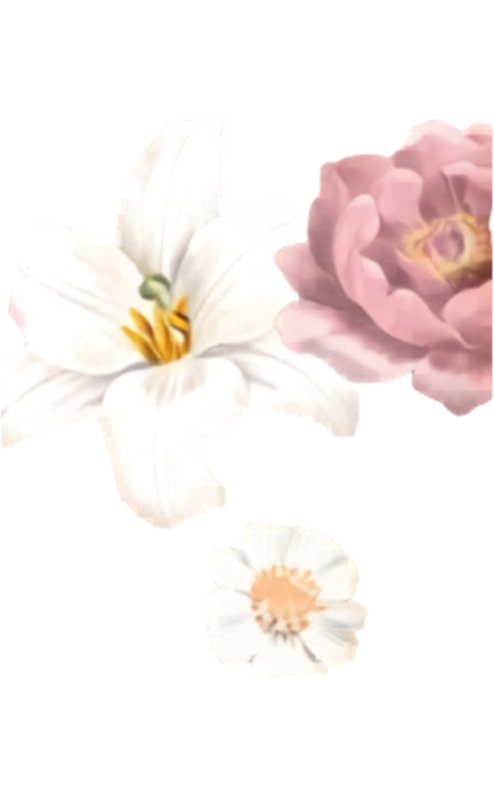 Ornamen