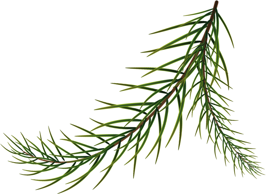 Leaf ornament