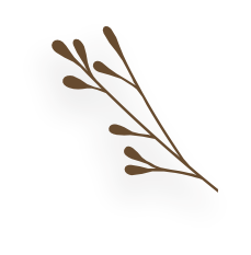 Ornamen