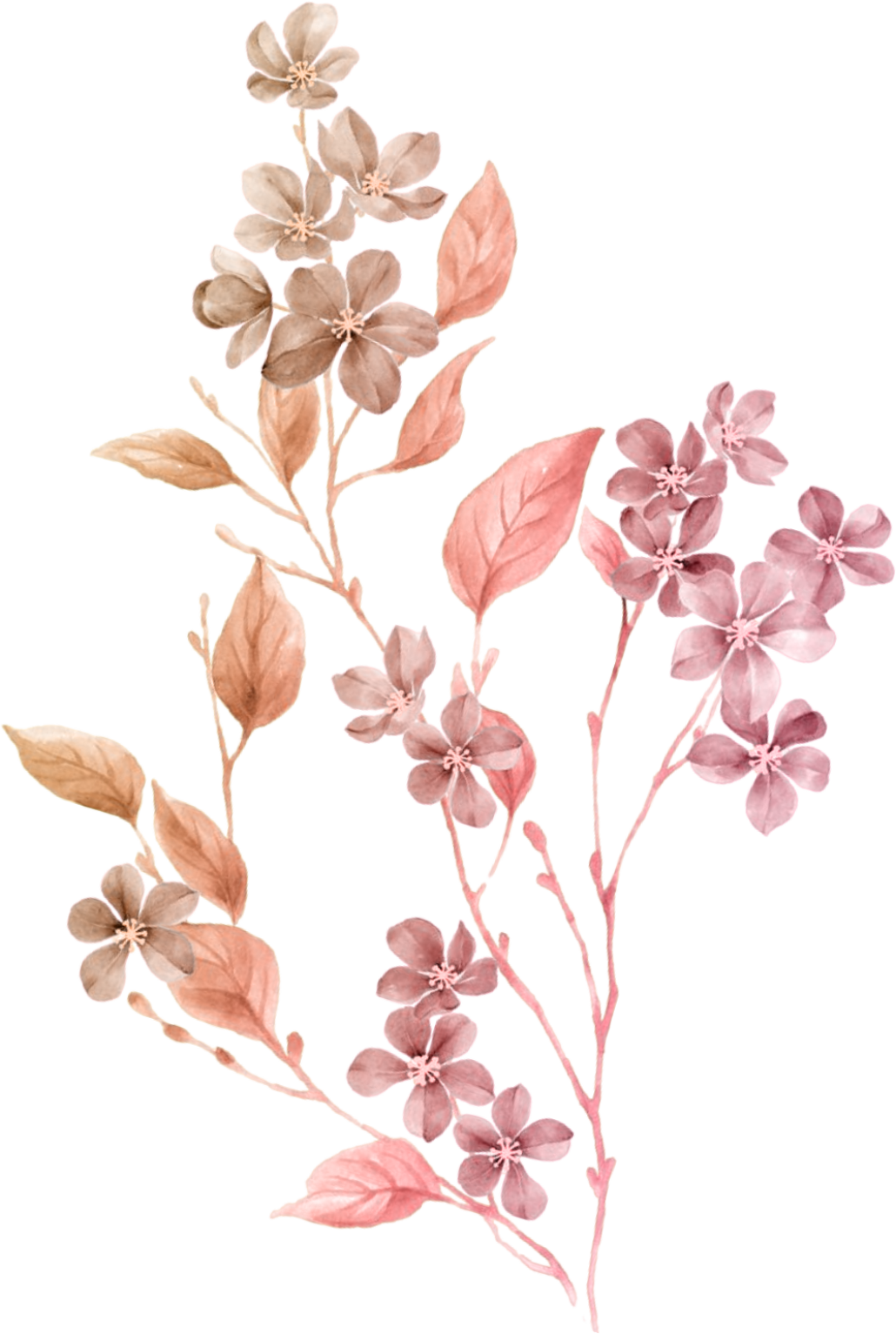 Ornamen